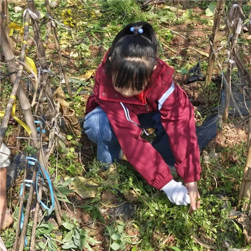 1773364080567023.jpg 1773364080567023.jpg