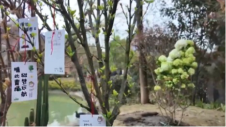 植树节：“植”此青绿 万象更新