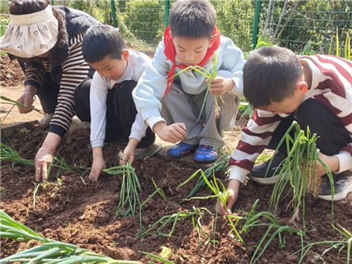 1773364065824183.jpg 1773364065824183.jpg