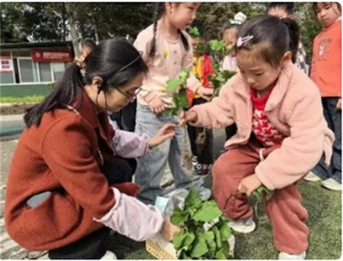 20260313_142244_135.jpg 20260313_142244_135.jpg