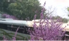 3月13日文兴锦官城