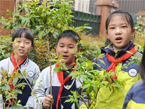 20260316_100707_007.jpg 20260316_100707_007.jpg