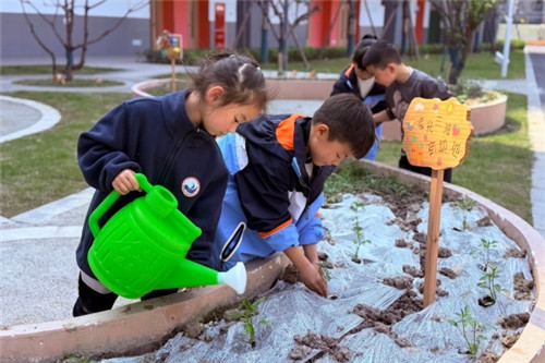 20260316_095746_003.jpg 20260316_095746_003.jpg