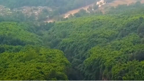 竹与瓷交织，瓷胎竹编传递东方生活之美