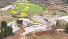 3月13日幸福观察