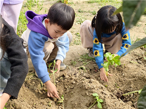 20260317_161633_187.jpg 20260317_161633_187.jpg