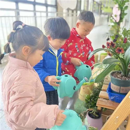 20260317_140516_154.jpg 20260317_140516_154.jpg