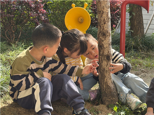 20260317_161633_186.jpg 20260317_161633_186.jpg