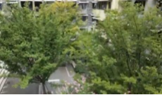 3月16日幸福观察