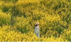 3月16日深夜快递