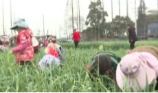 3月16日成都全接触