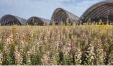 3月18日深夜快递