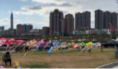 春来放风筝 绷紧“安全弦”