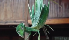 3月18日文兴锦官城