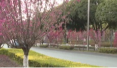 2026年3月18日《幸福社区》