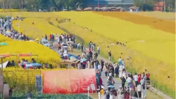 3月20日直播in成都