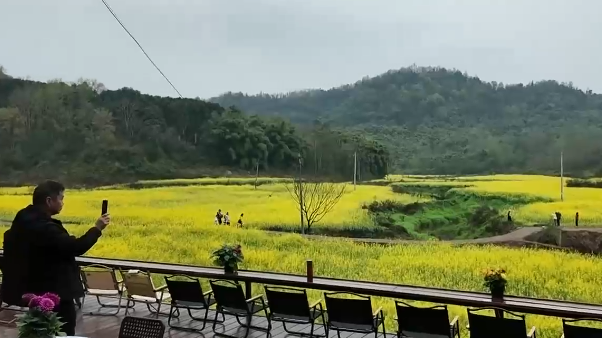 3月26日幸福观察