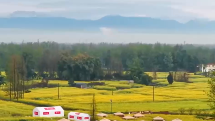 3月26日成都全接触