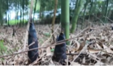 2026年3月27日《幸福社区》