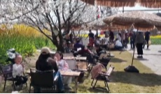 3月27日直播in成都