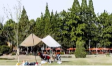 这里的春天真美丽：海蒂的花园