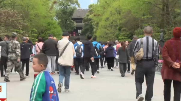 在满园春色中探寻中国“治”慧 快乐过春假