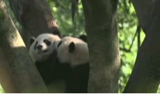 4月7日深夜快递