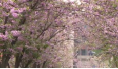 2026年4月7日《幸福社区》