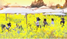 4月7日成都全接触