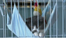 4月8日深夜快递