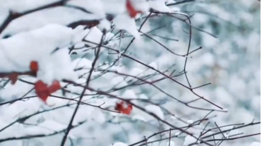 4月8日运动成都
