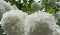 2026年4月9日《幸福社区》