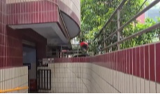 “蓉安800随手拍”：市民投稿线索调查