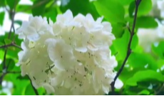 4月10日成都全接触