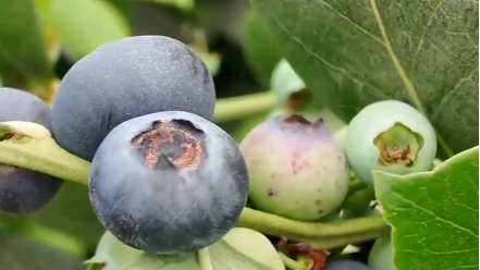 4月10日直播in成都