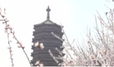 4月13日文兴锦官城