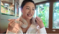 2026年4月13日《幸福社区》