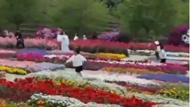 4月14日文兴锦官城