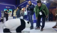 4月15日深夜快递