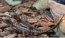 4月16日幸福观察