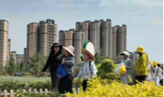 4月17日深夜快递