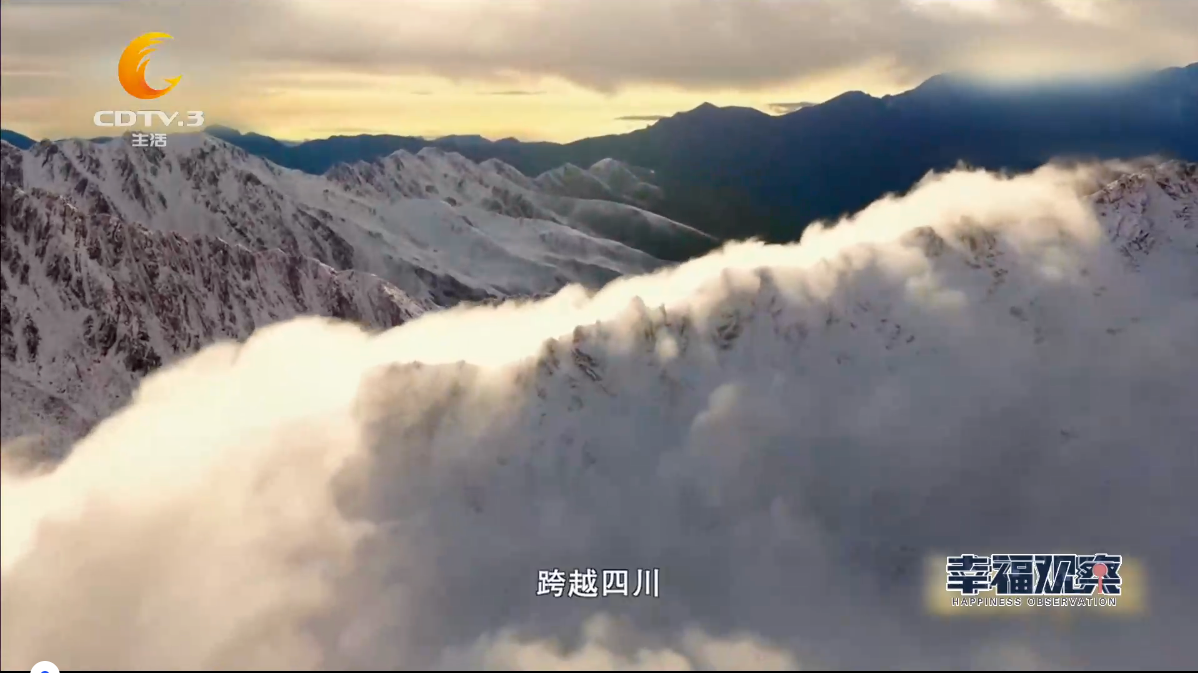 熊猫家园 生命港湾