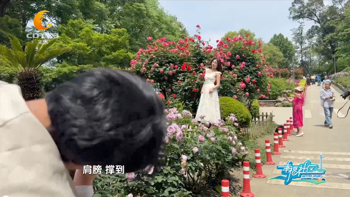 2026年4月20日《幸福社区》