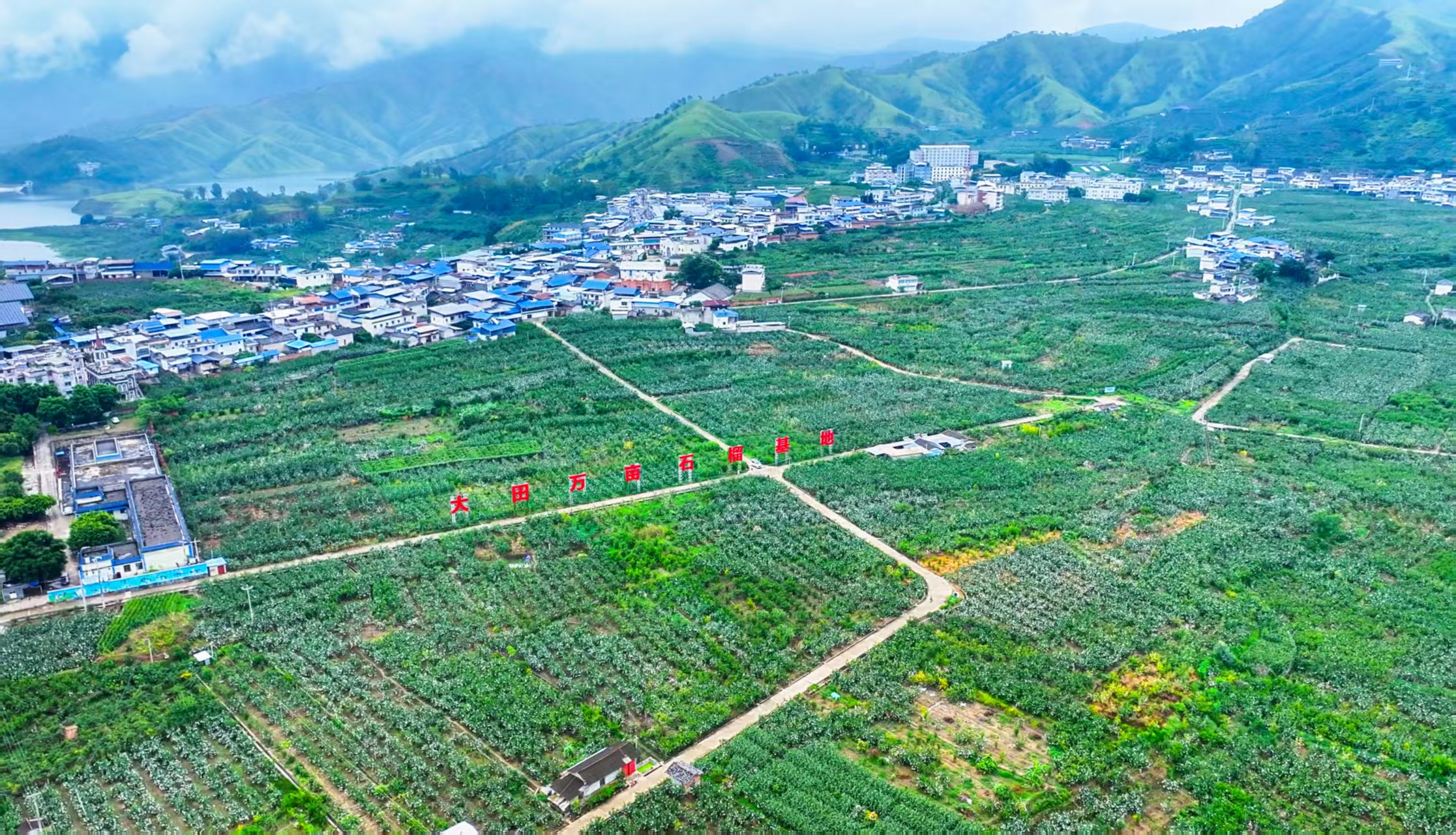 微信图片_20251210173245_481_17