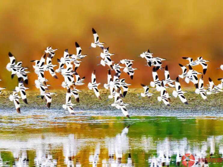 1767492447985_1767492447904064904.jpg 微信图片_2026-01-04_095406_125.jpg