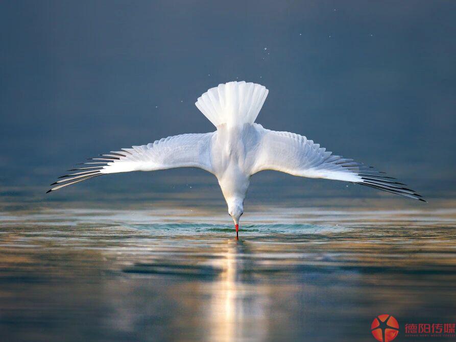 1767492635823_1767492635756021954.jpg 微信图片_2026-01-04_095419_591.jpg