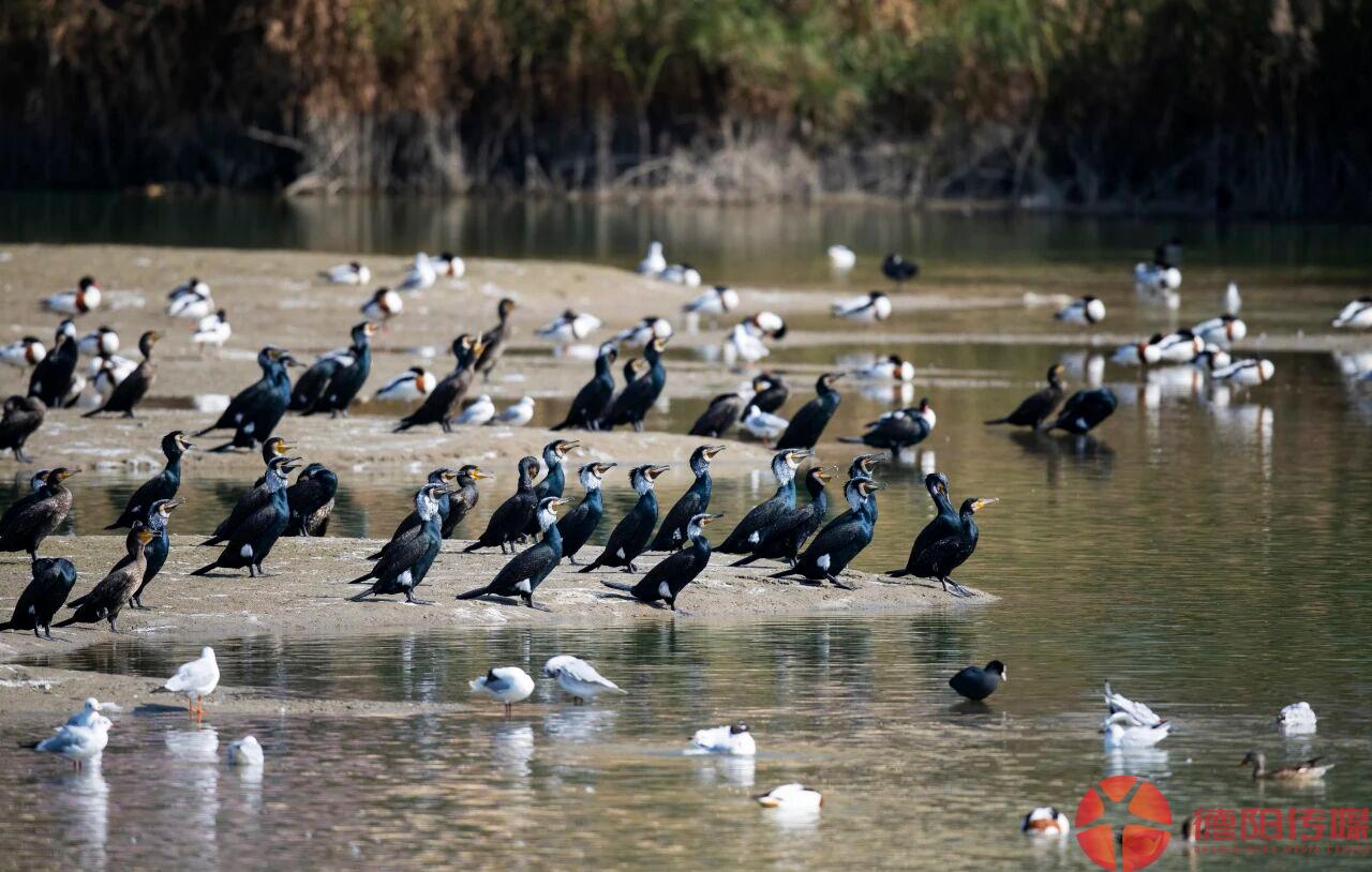 1767492679586_1767492679441098267.jpg 微信图片_2026-01-04_095425_592.jpg