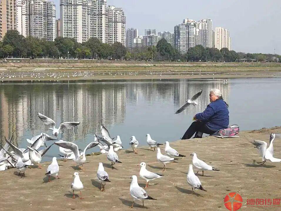 1767492492161_1767492492070076676.jpg 微信图片_2026-01-04_095409_595.jpg