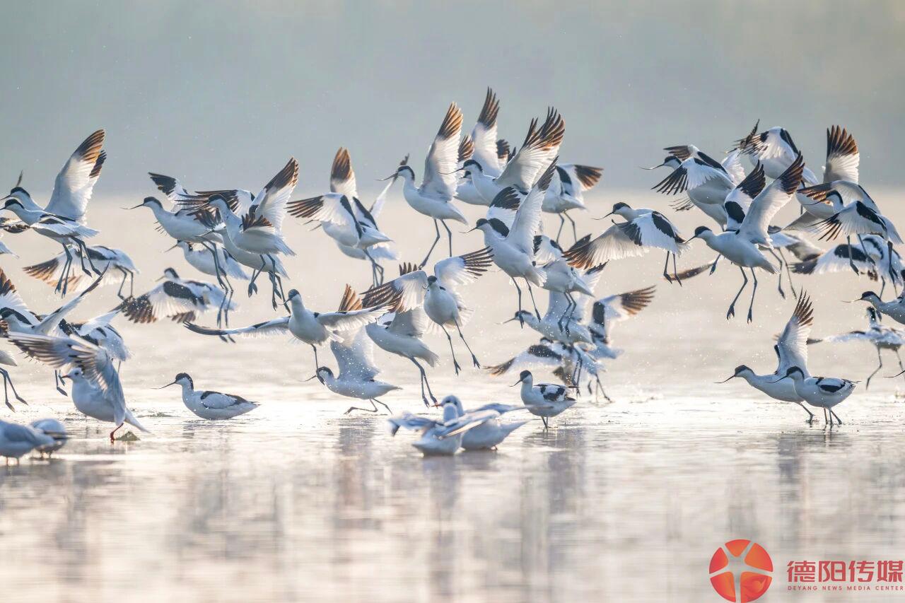 1767492297316_1767492297184081682.jpg 微信图片_2026-01-04_095357_550.jpg