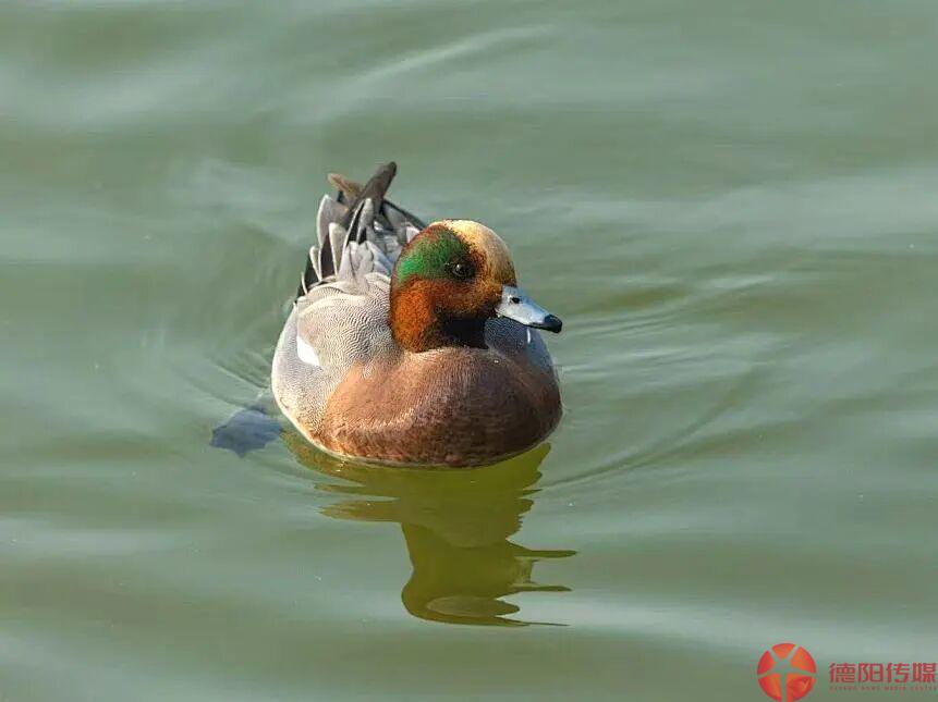 1767492550892_1767492550836050132.jpg 微信图片_2026-01-04_095412_222.jpg